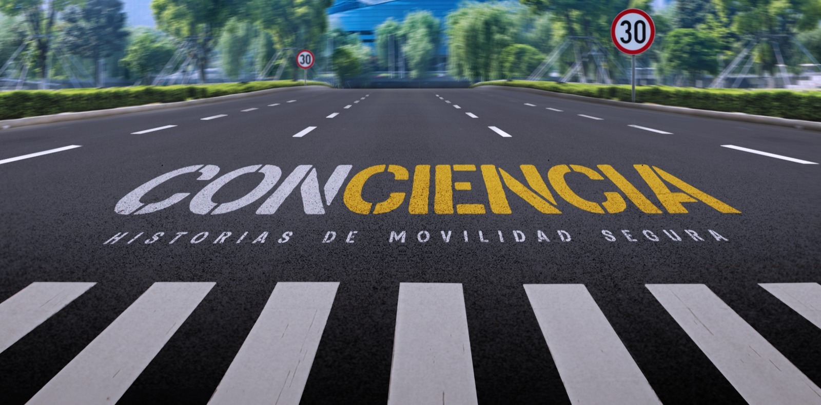 PROGRAMA SEGURIDAD VIAL